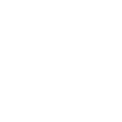 brena-500